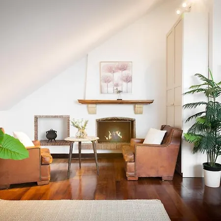 Stylish With A Pool Apartment